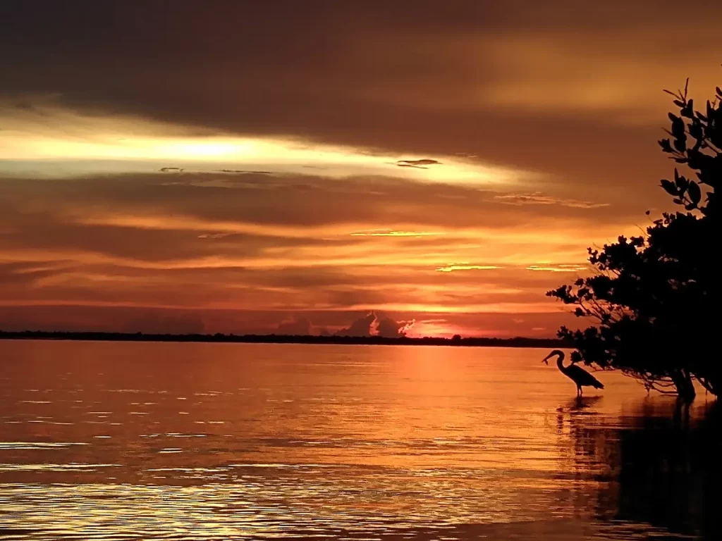 Sunrise Kayak Tours vs. Sunset Kayak Tours: Pros and Cons of Both