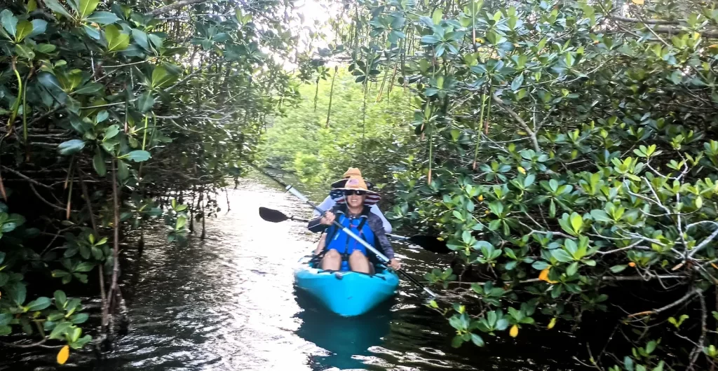 kayaking indian river lagoon