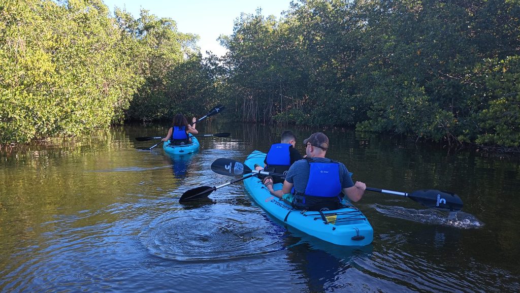 5 Reasons to Book a Kayak Tour with Brady Yaks