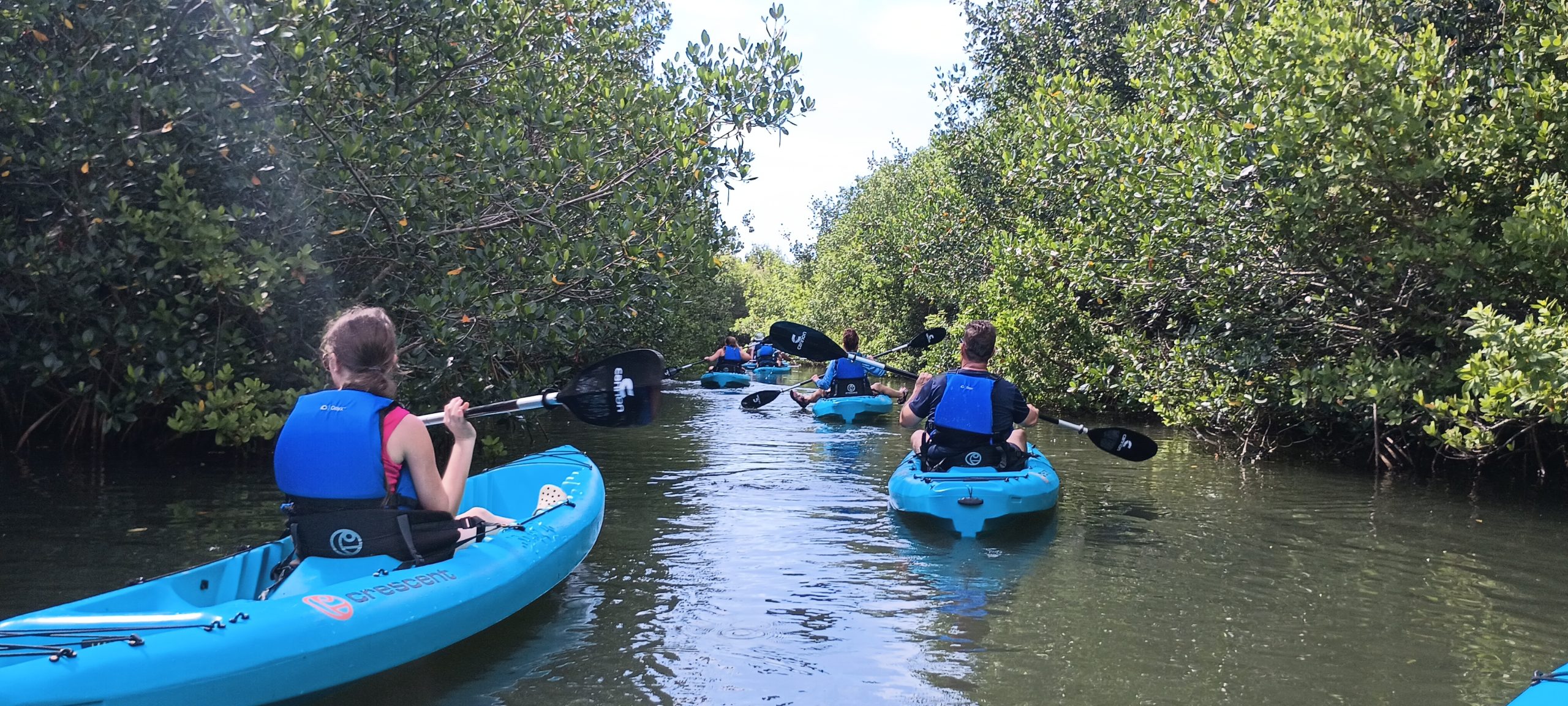 Kayak tour in mangroves of cocoa beach