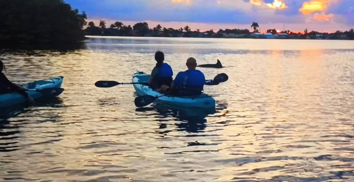 Kayak Rentals vs. Kayak Tours: Which Experience is Right for You?