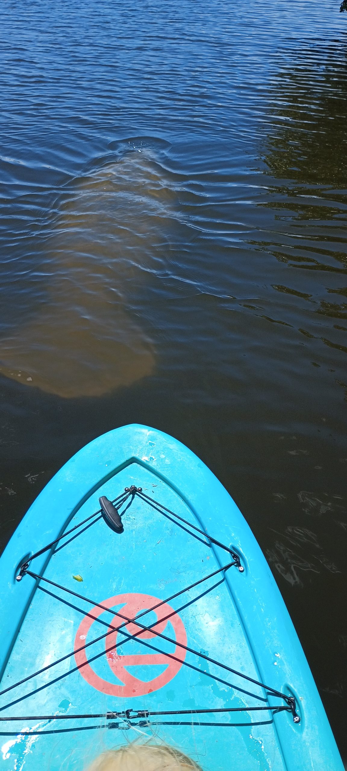 5 Tips for First-Time Paddle Boarders