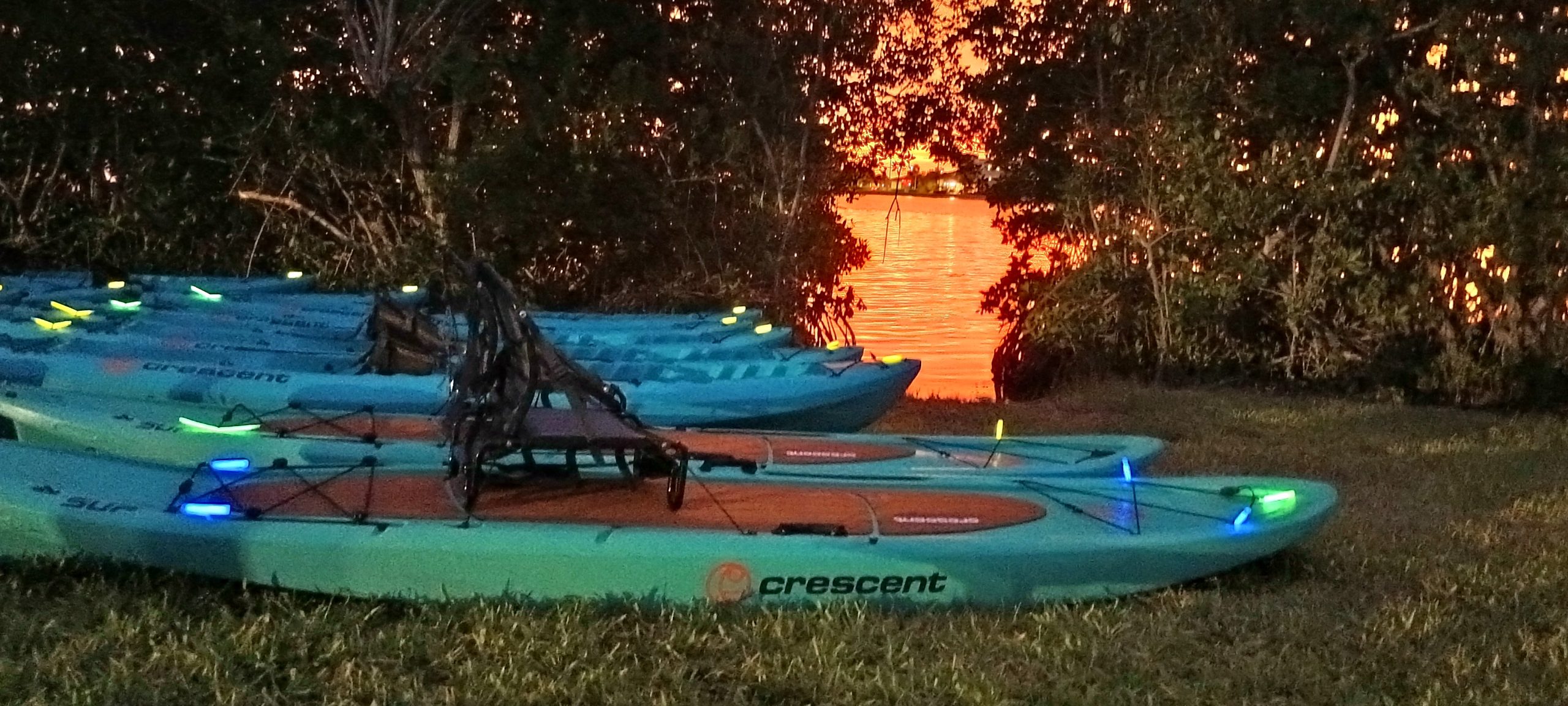 paddleboard rentals